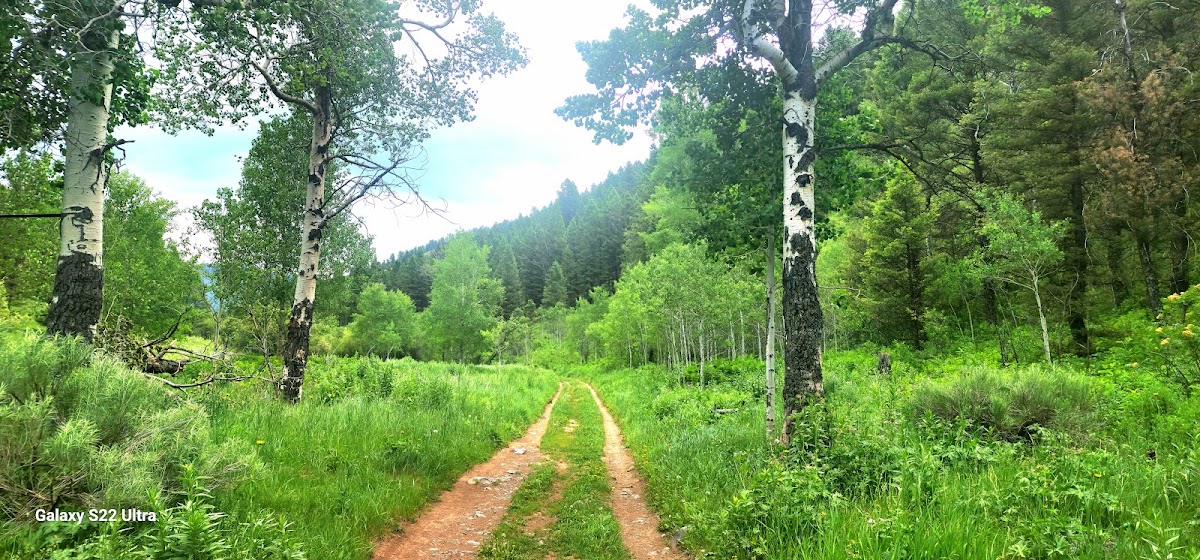 Game Creek Trail
