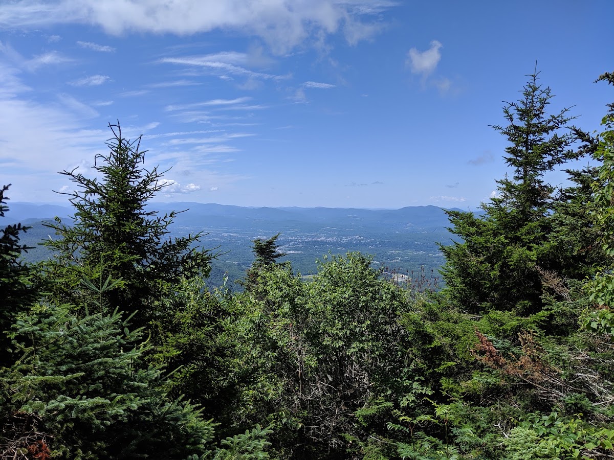 Canty Trail (Blue)