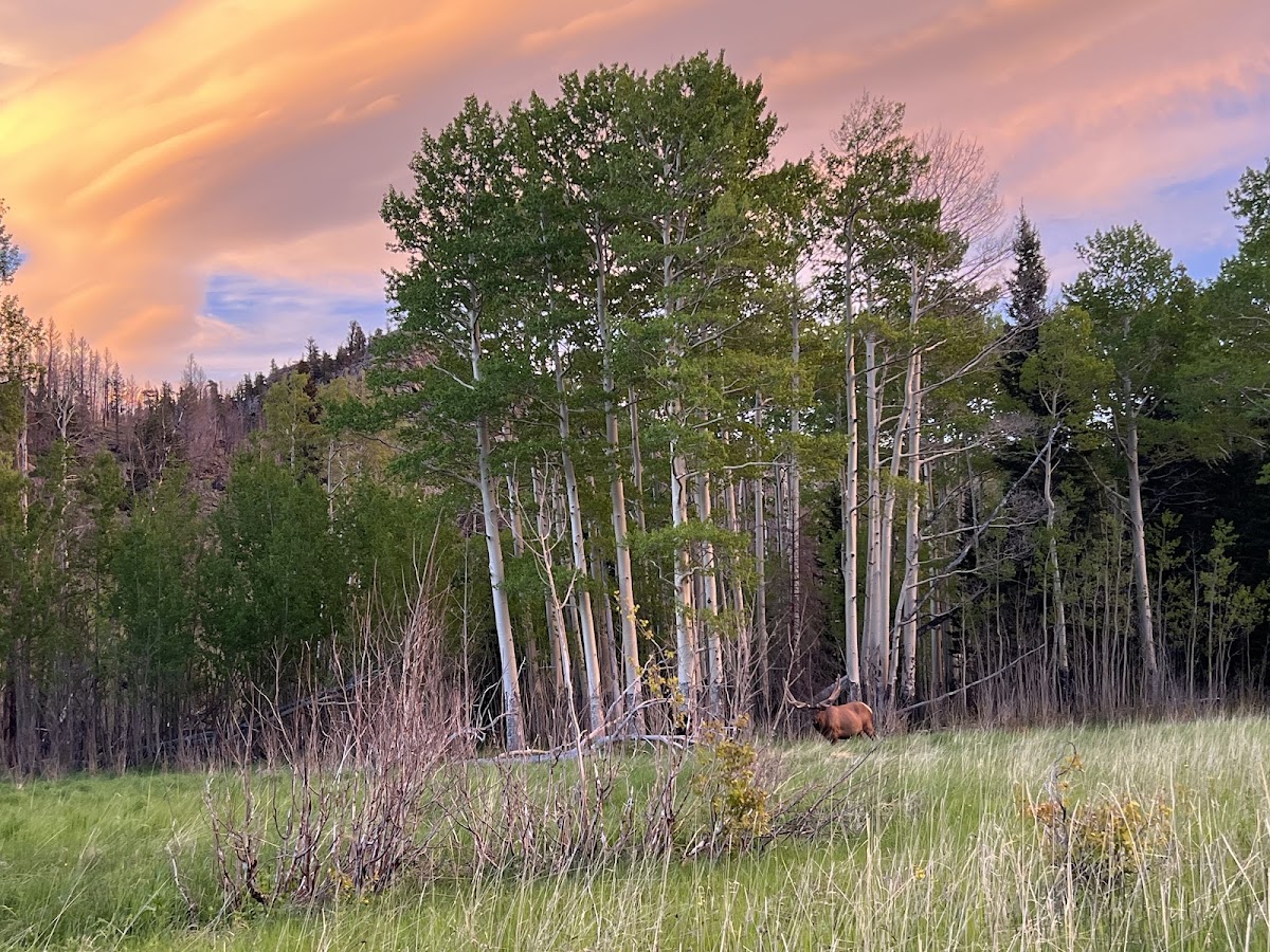 Mill Creek Basin Trail