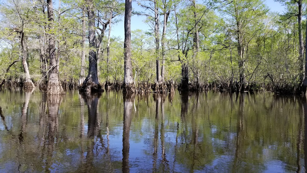 Black River