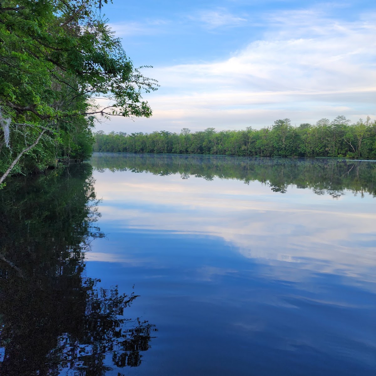 Northeast Cape Fear River