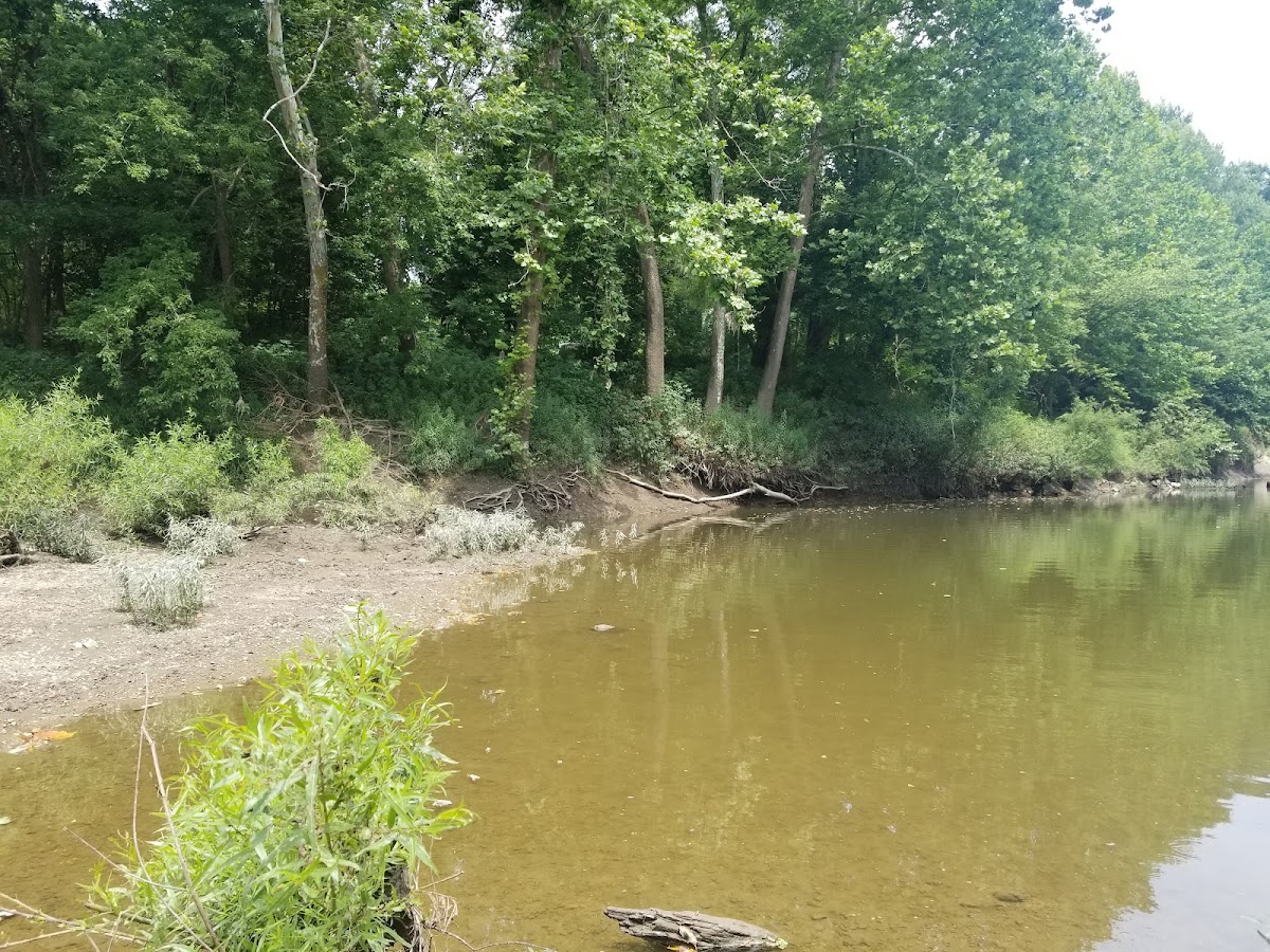 Lamine River