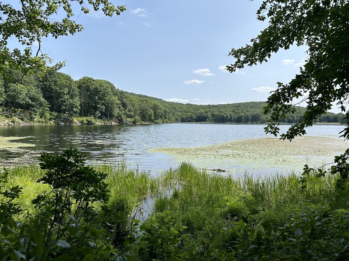 Nuclear Lake