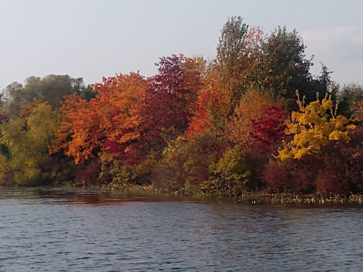 Lake Templene