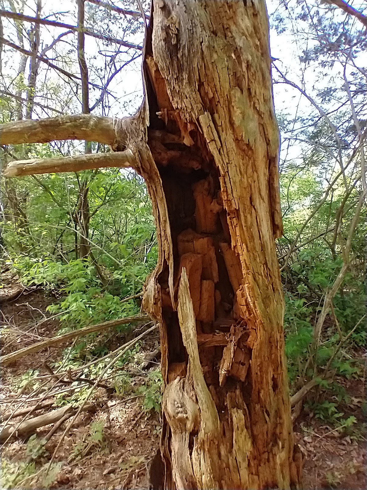 Old Man's Creek