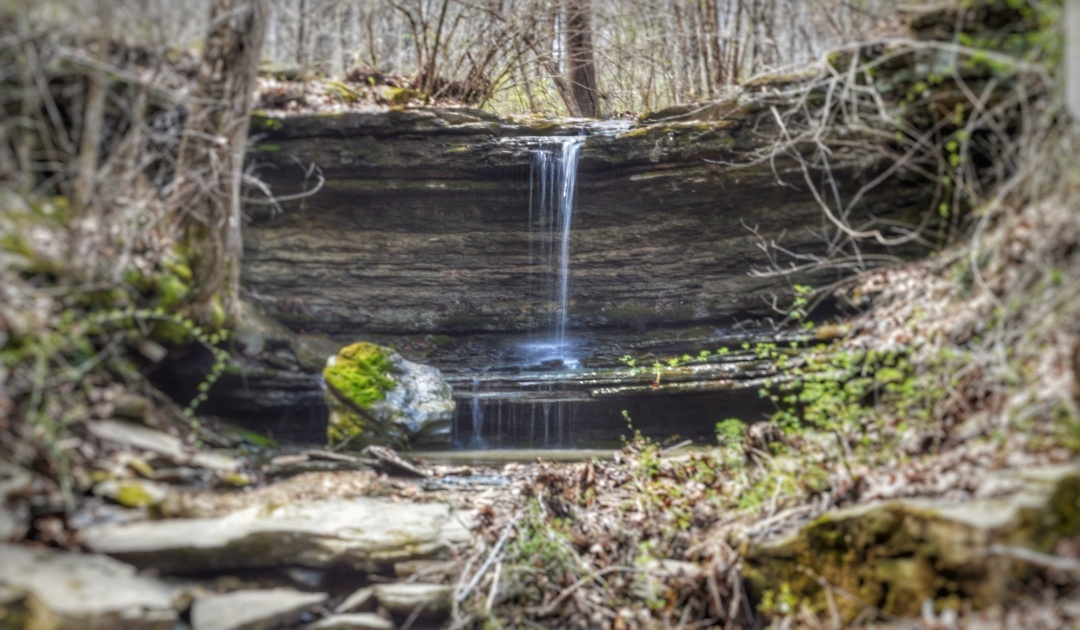 Raccoon Creek