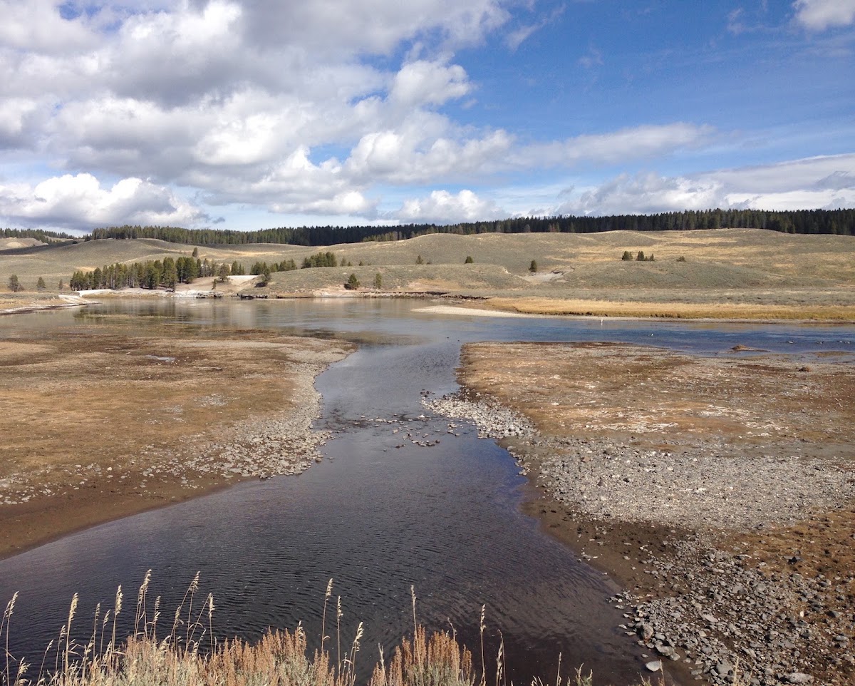 Elk Antler Creek