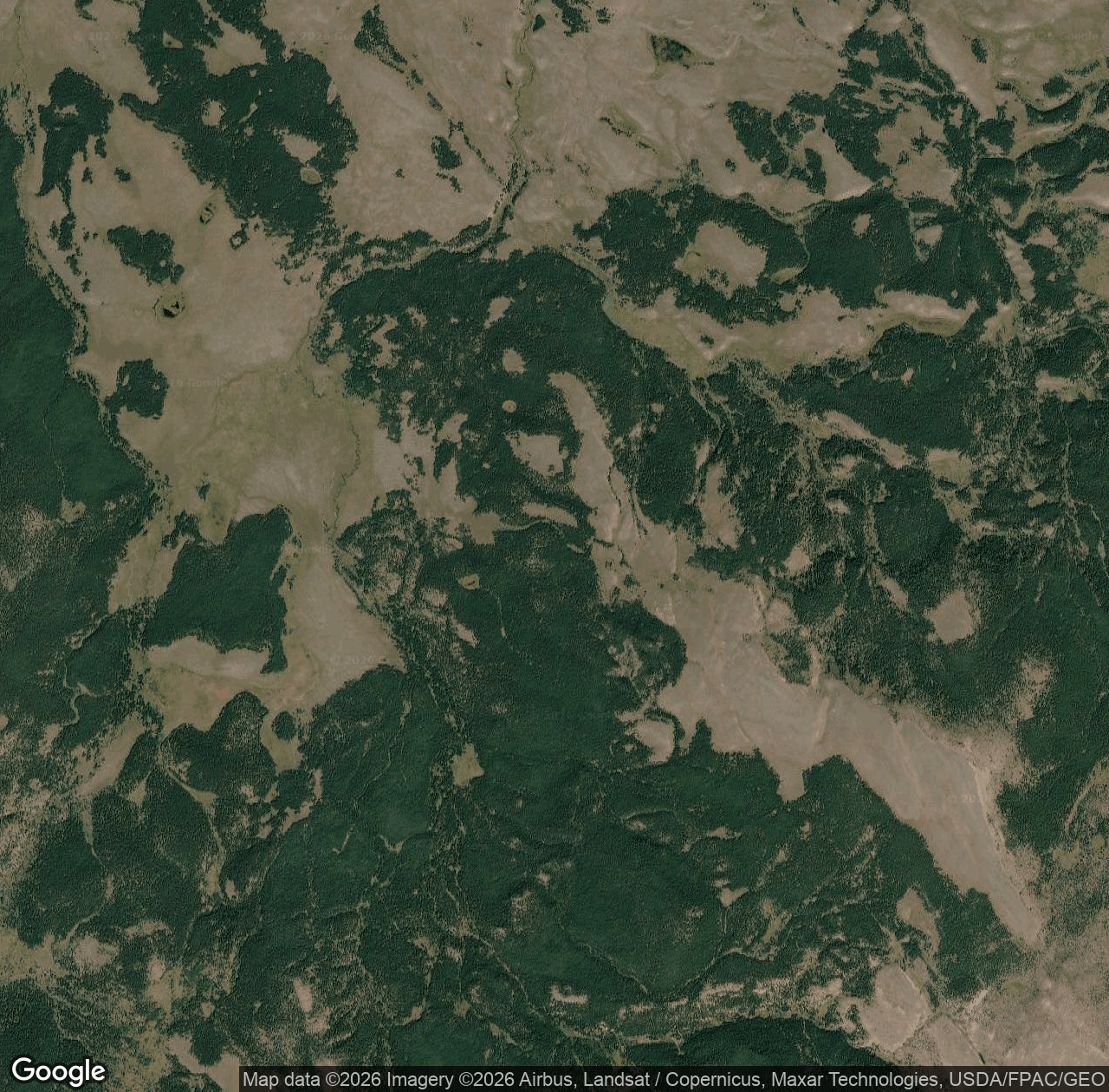 Blacktail Deer Creek