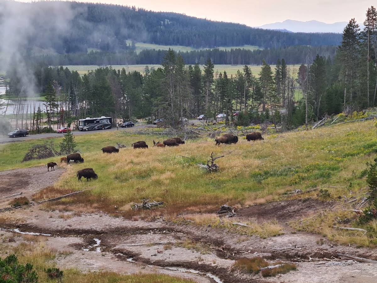 Trout Creek