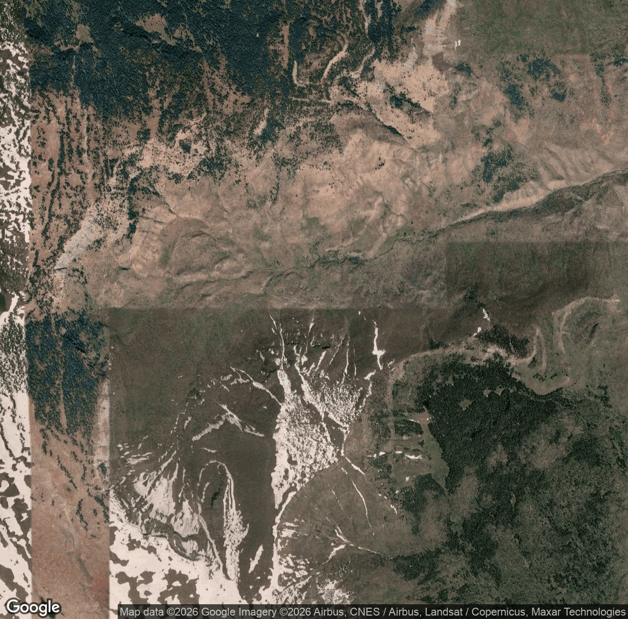 Phlox Creek