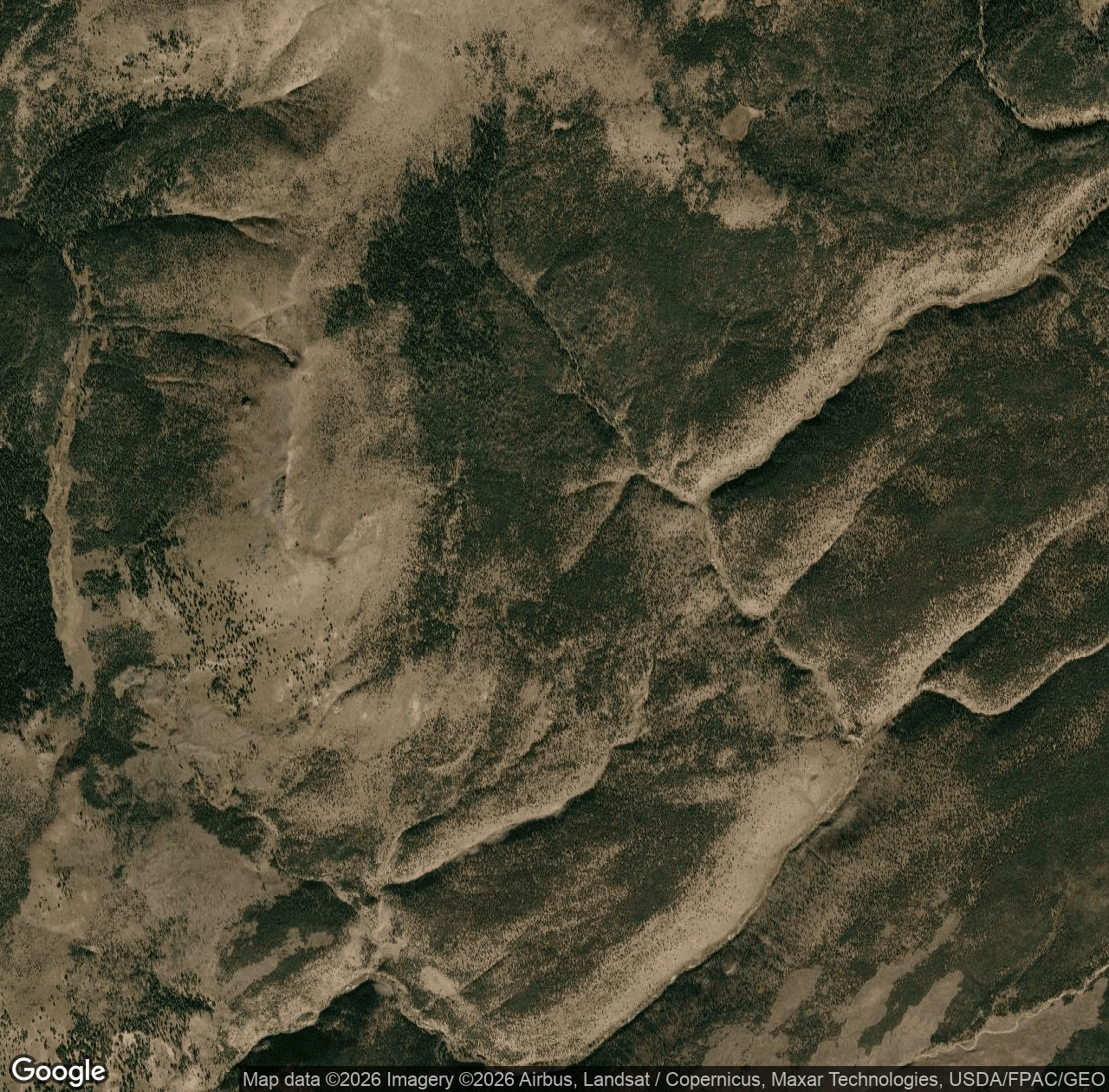 Maple Creek