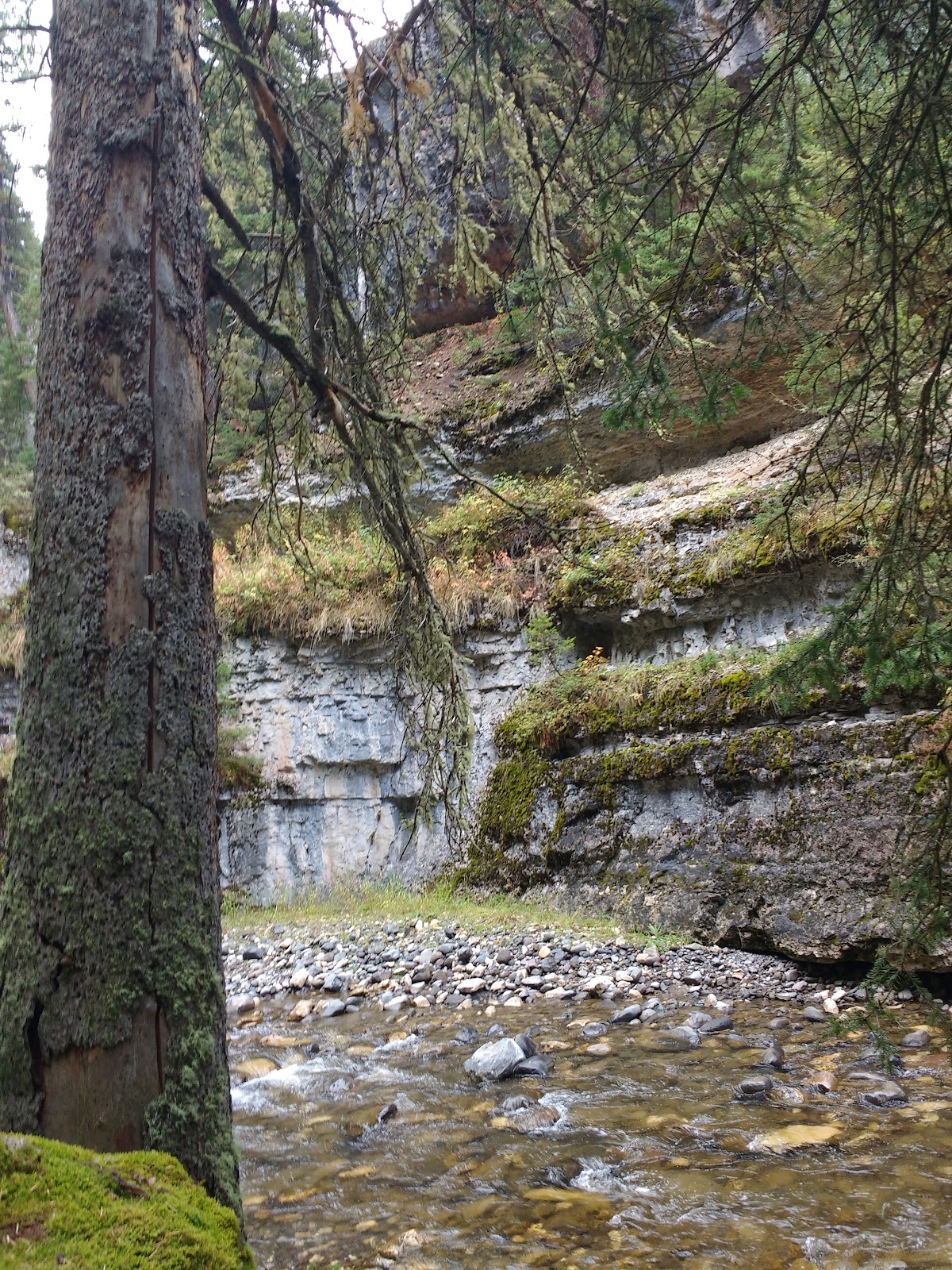 Pebble Creek