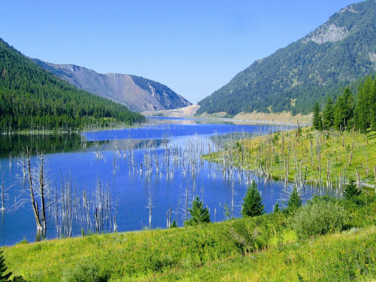 Earthquake Lake