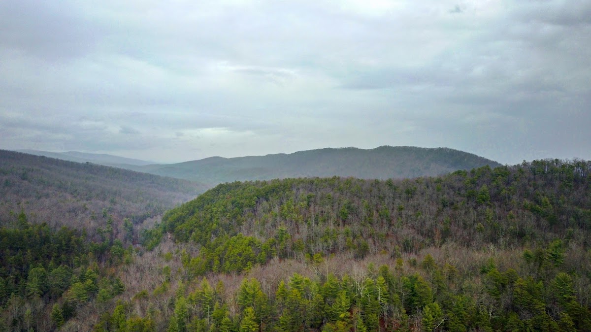 Wild Oak Trail