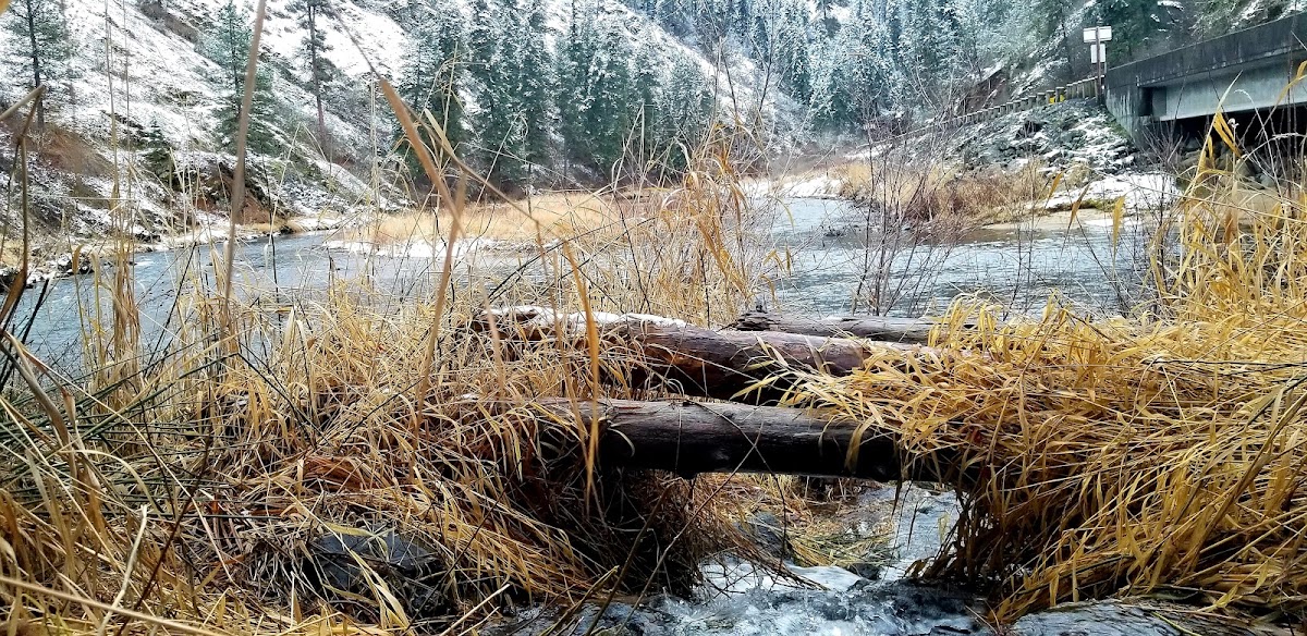 South Fork Salmon River