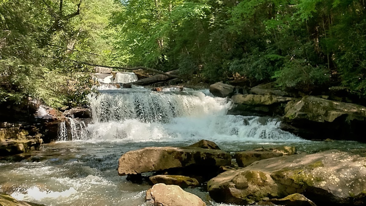Deckers Creek
