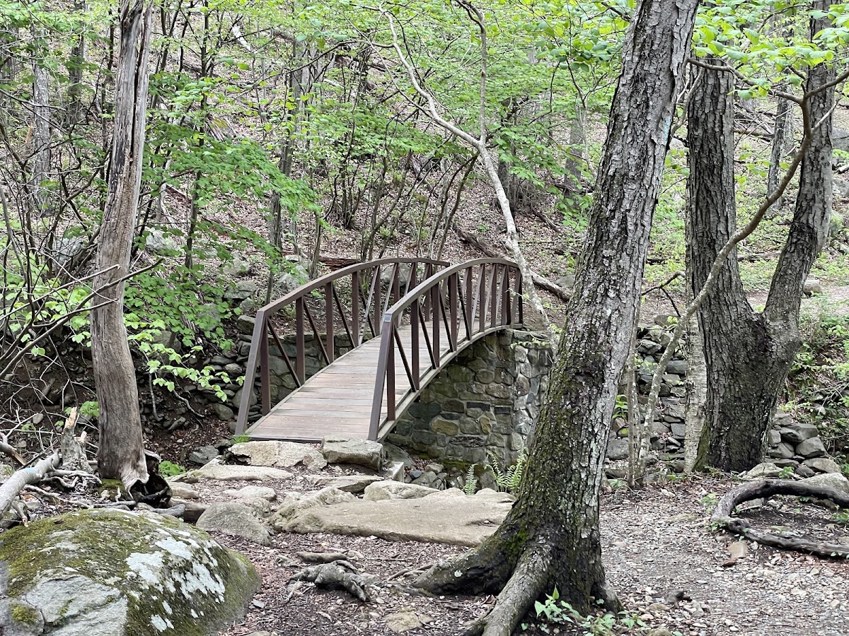 Rose River Loop Trail
