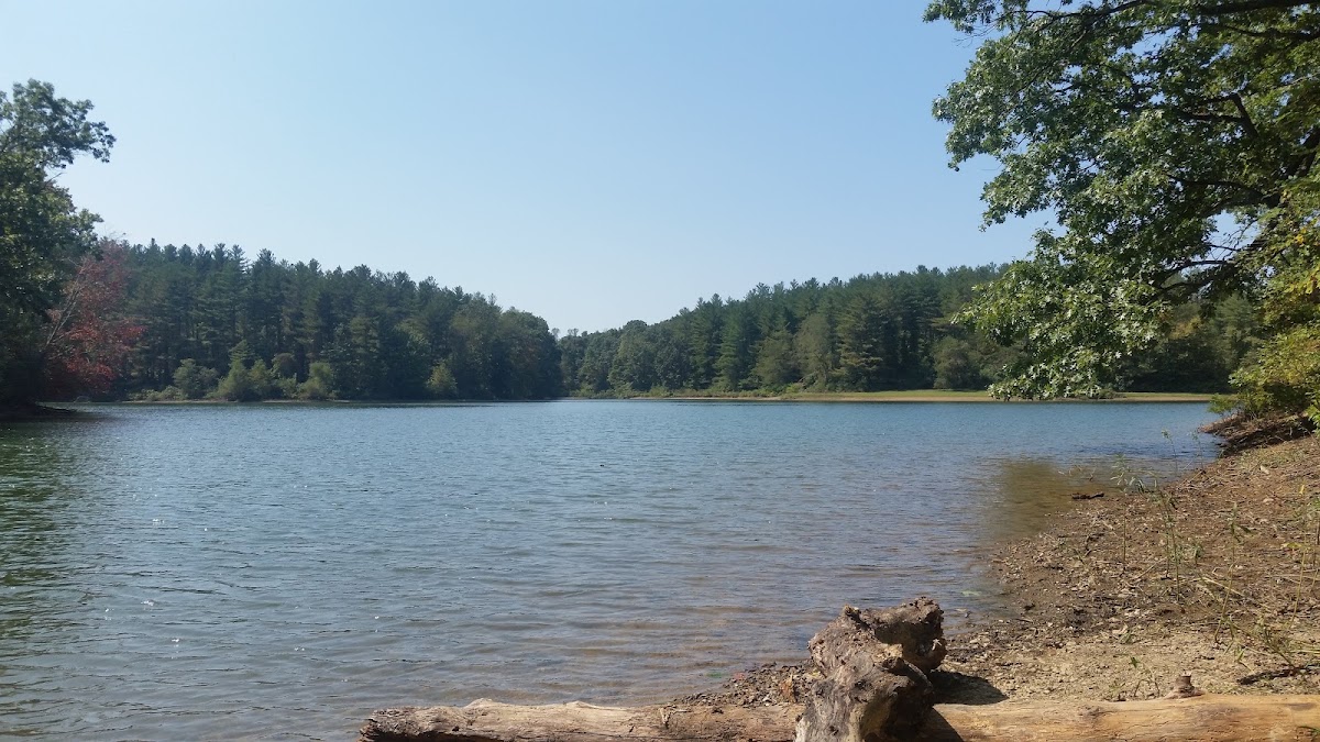 Hammertown Lake