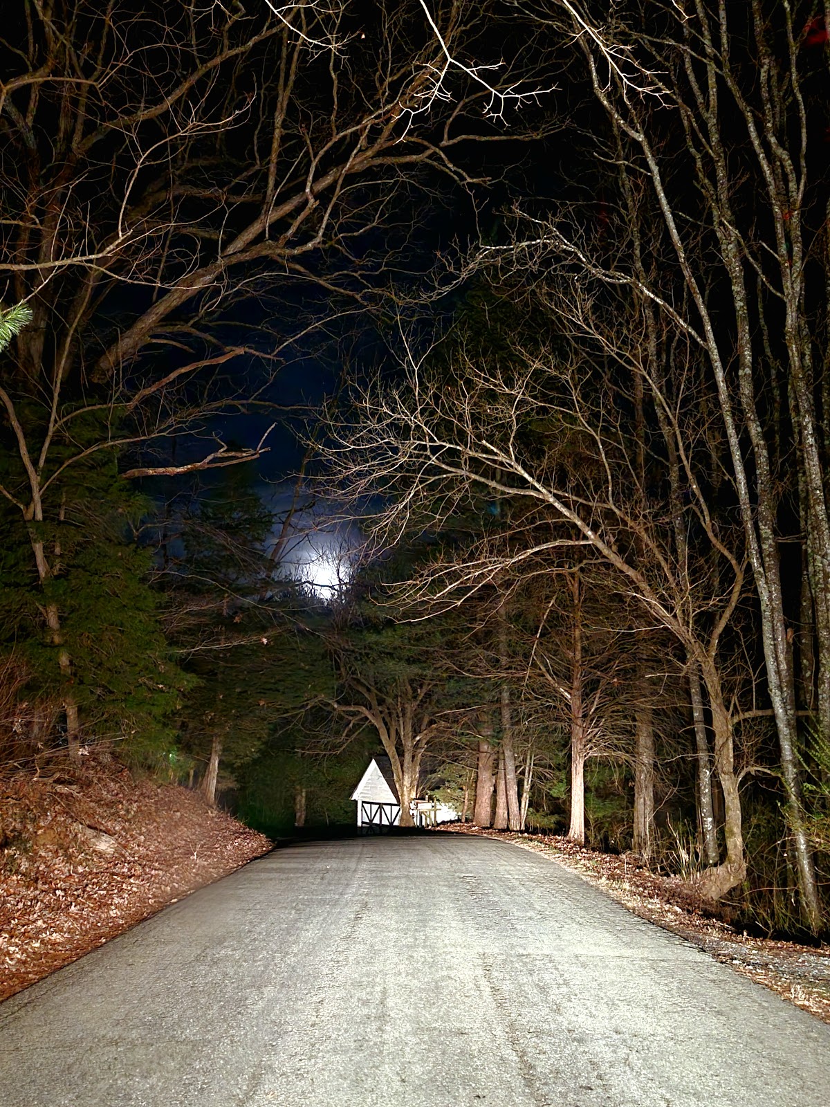 Back Creek