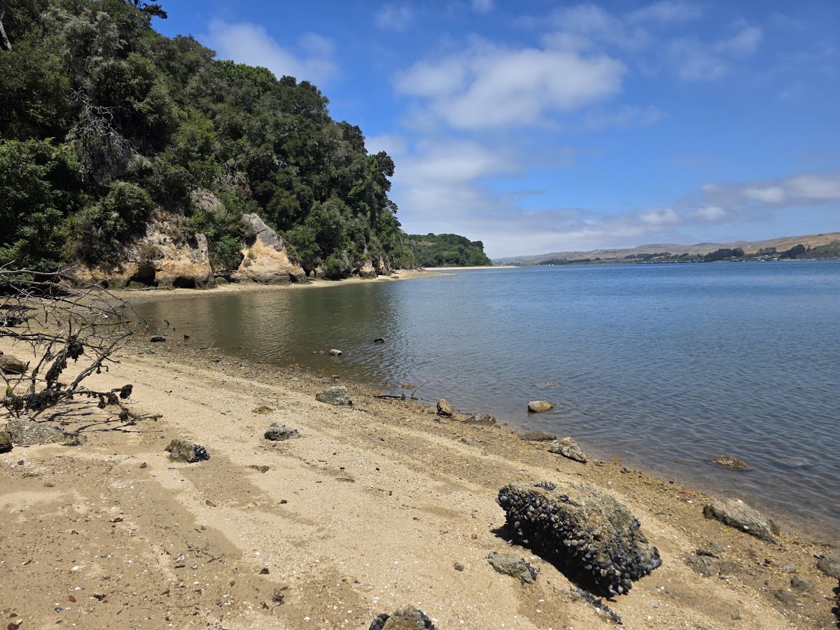 Tomales Bay State Park