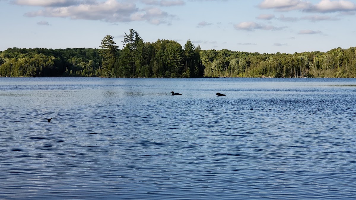 Shoe Lake