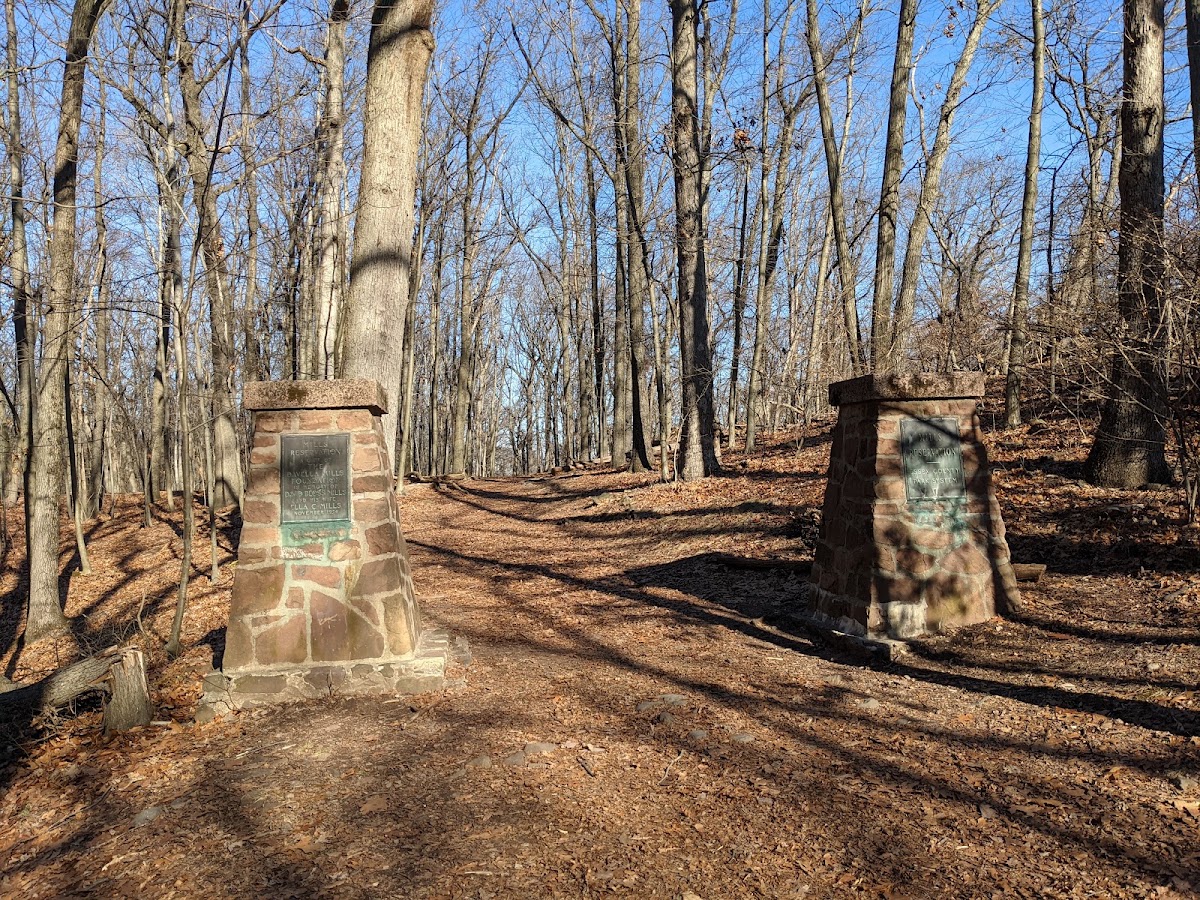 Mills Reservation