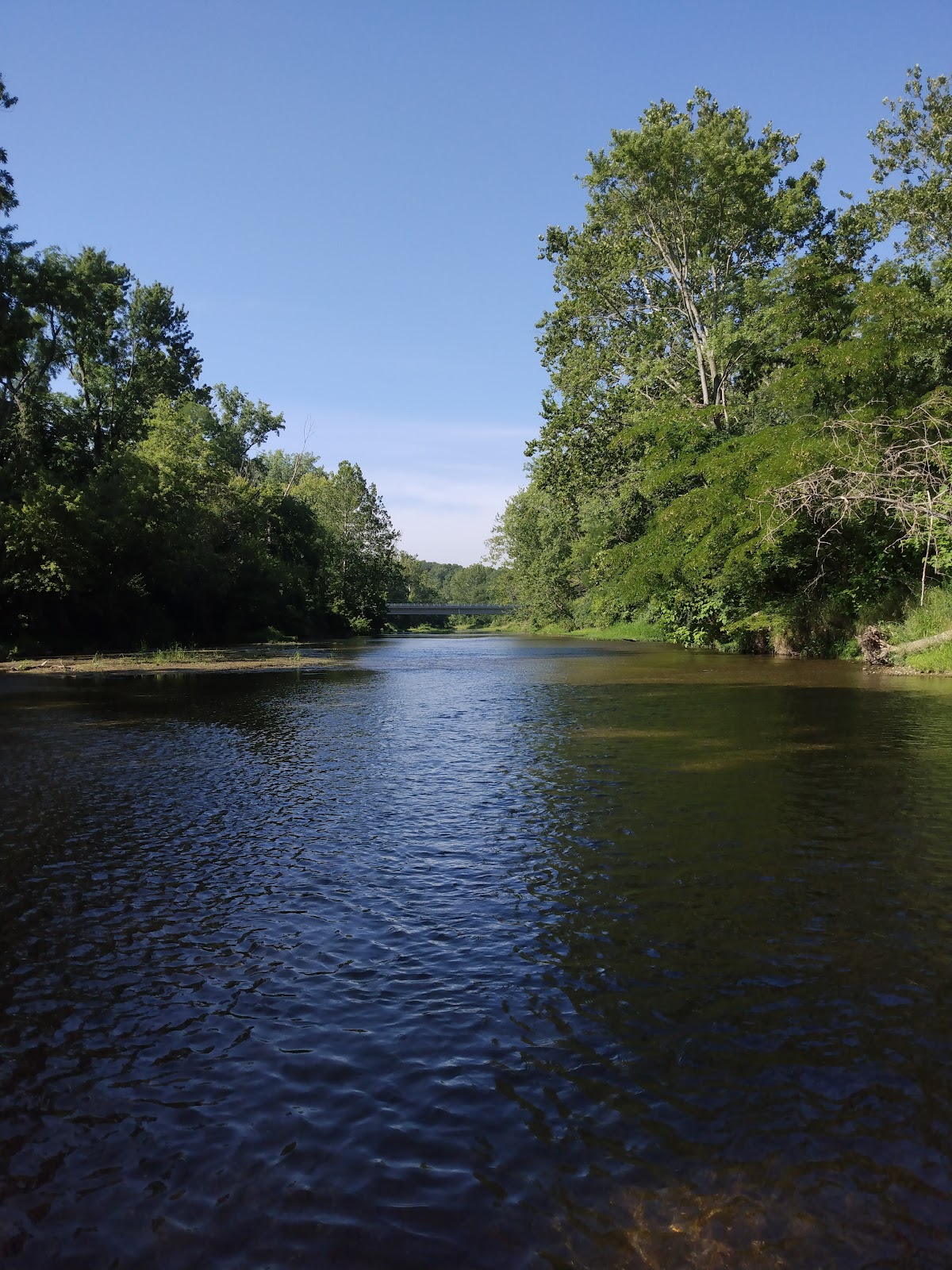 Wildcat Creek