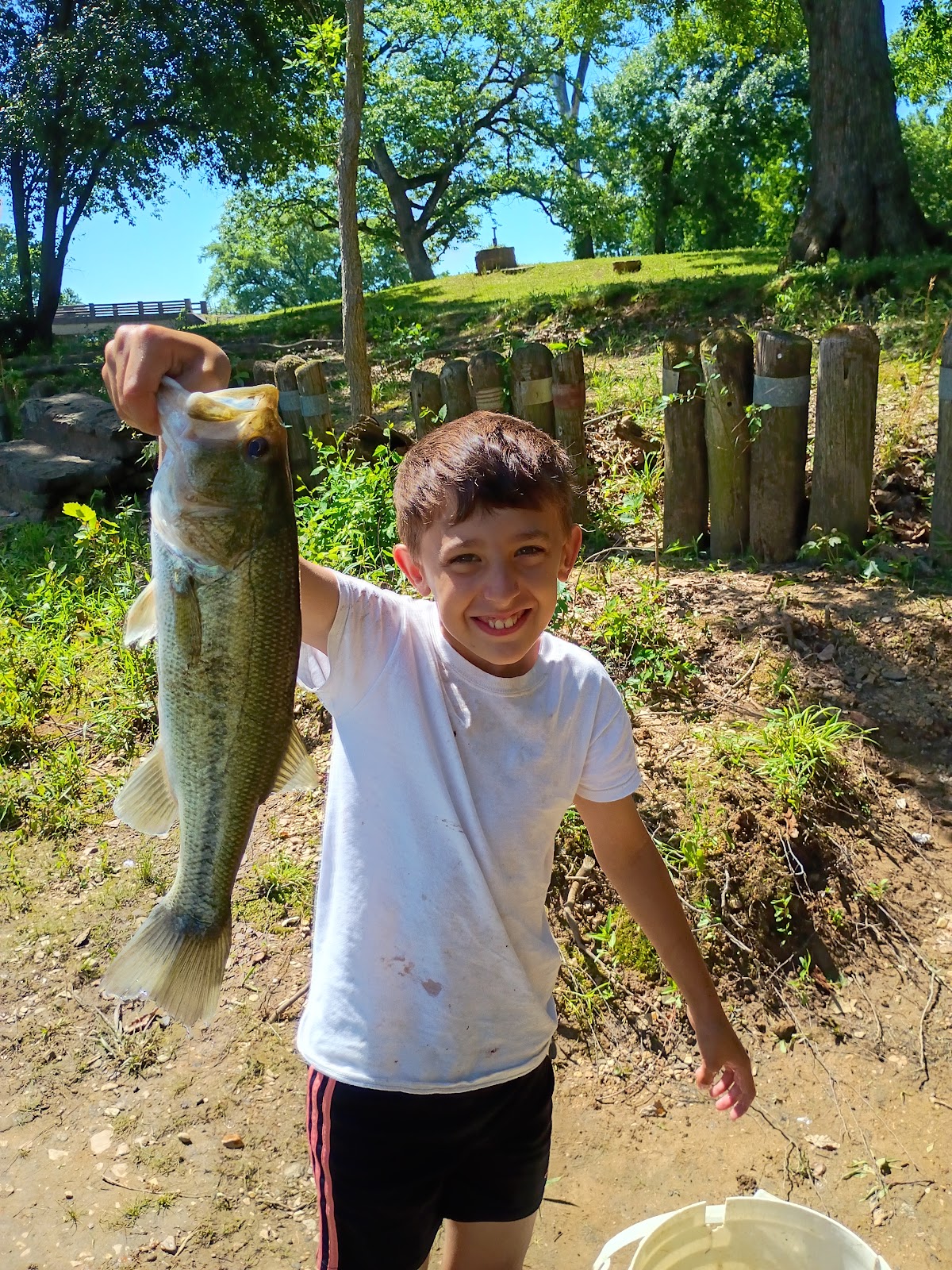 Sallisaw Creek