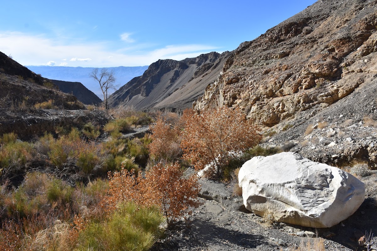 Surprise Canyon hiking route