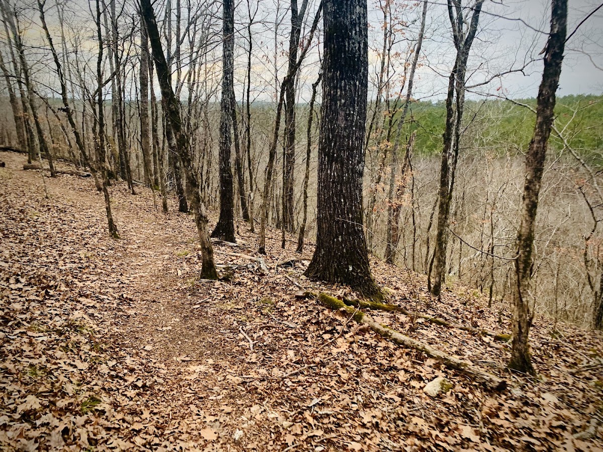 Modoc Stevens Creek Trail