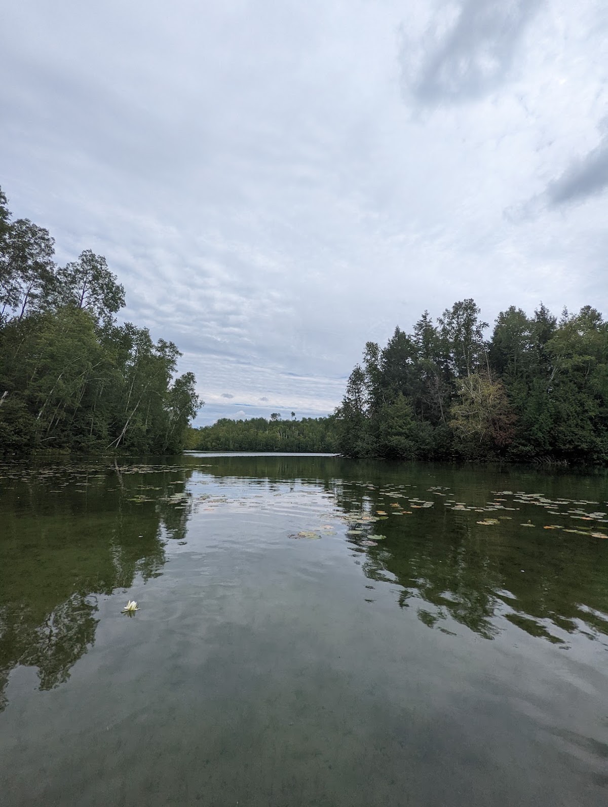 Rose Lake