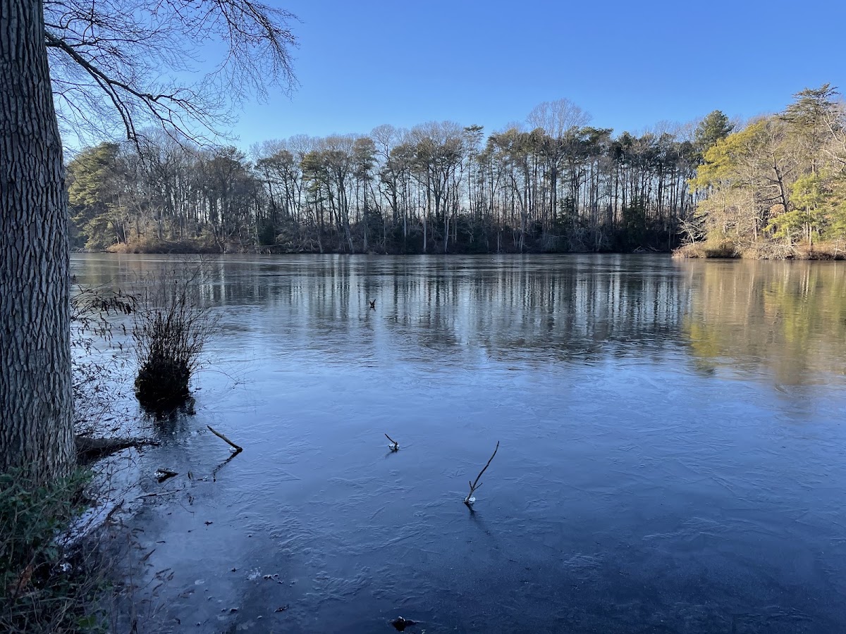 McGinnis Pond