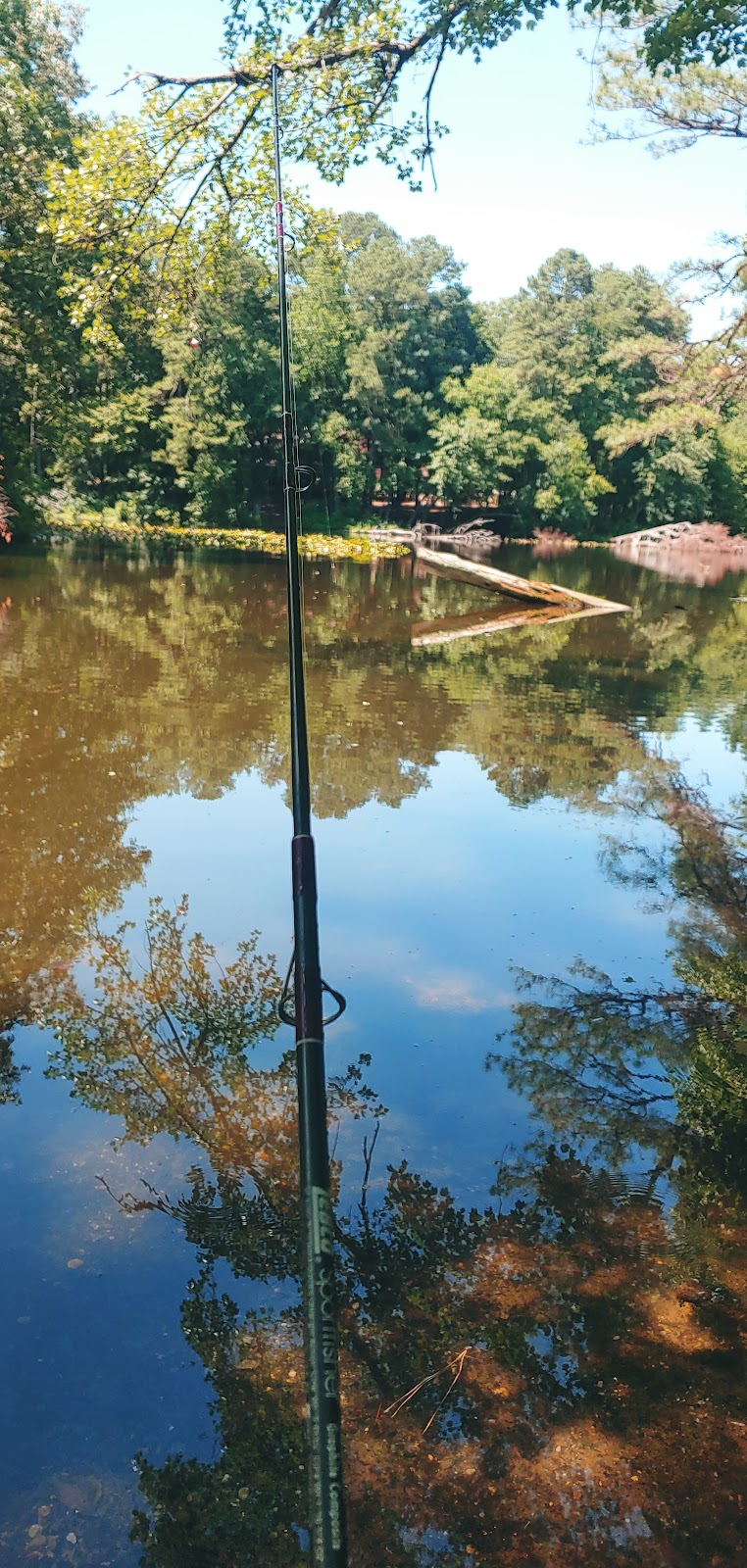 Andrews Lake