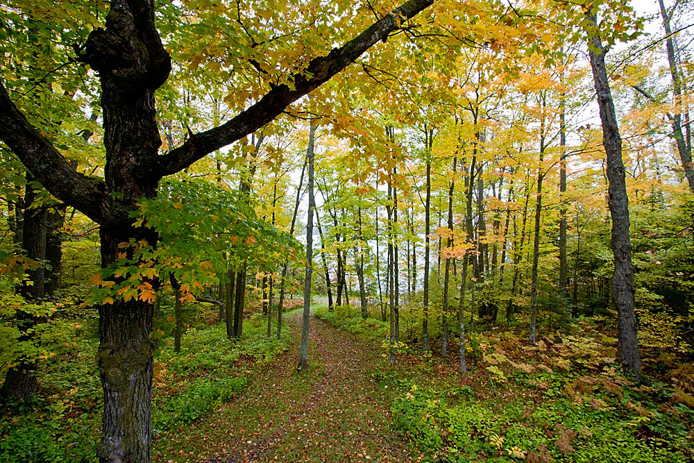 Schoolcraft State Park