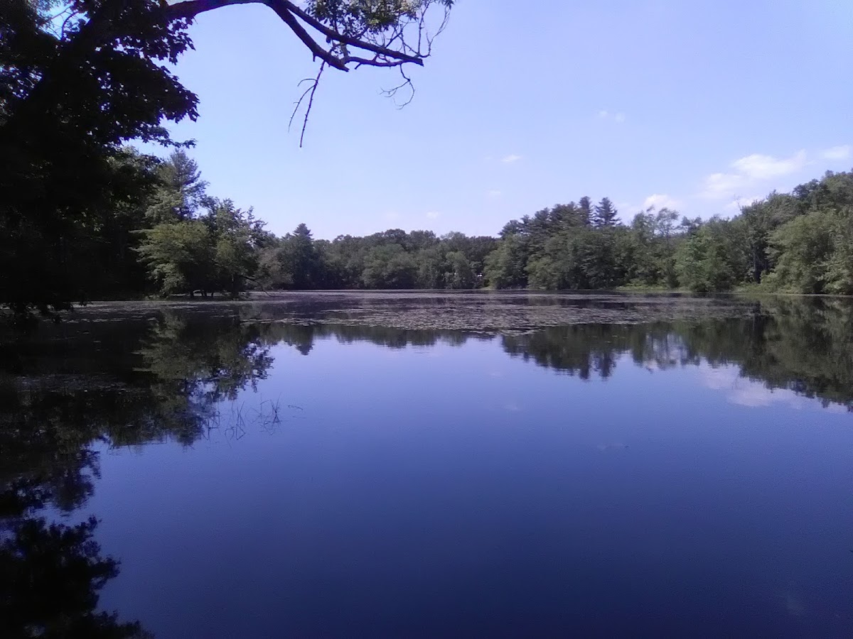 Tuxbury Pond