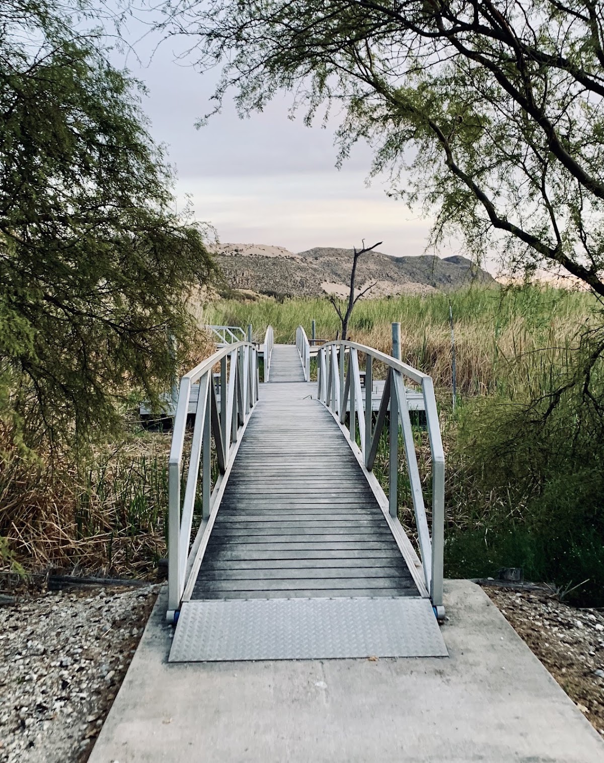 Rio Grande Village Group Campground