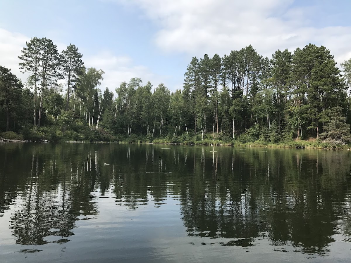 Ella Hall Lake