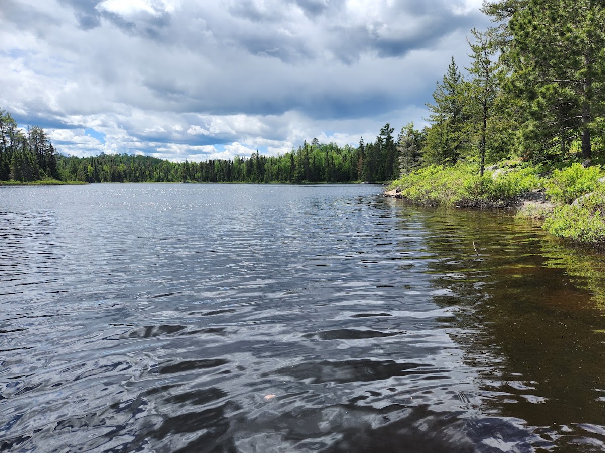 Lake Polly