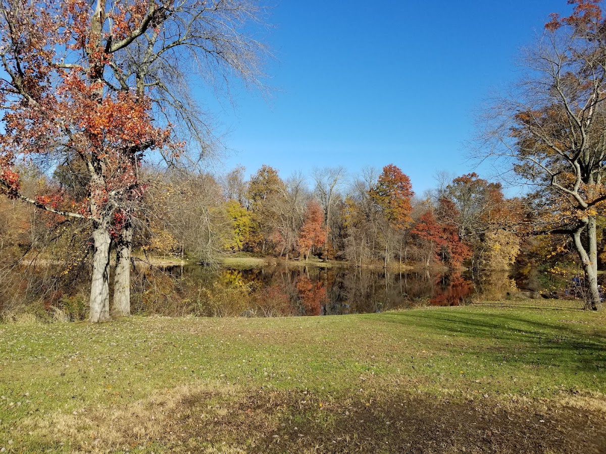 Lenape Park