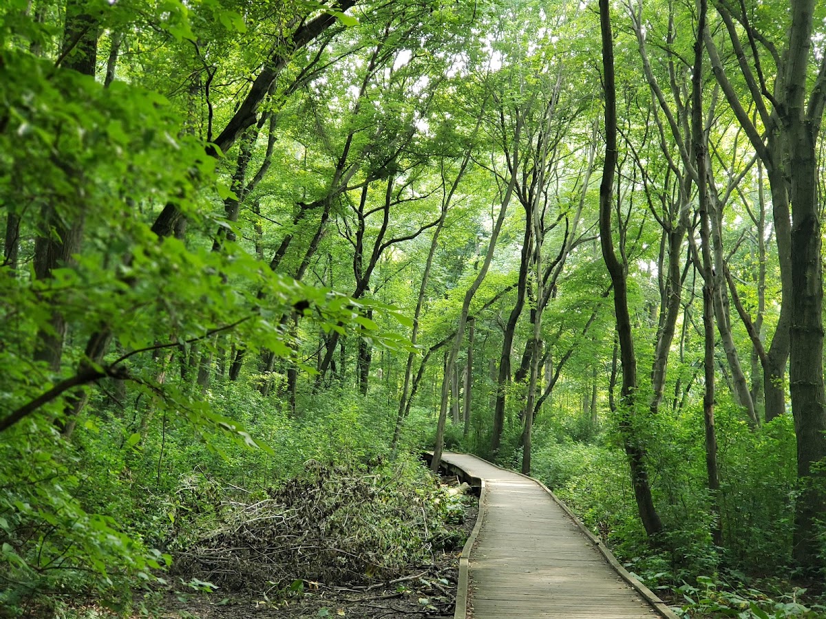 Veterans Park