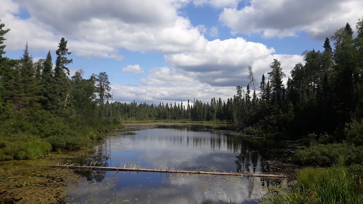 Little Iron Lake