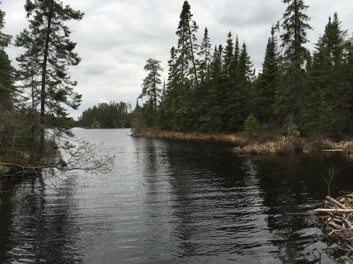 Snipe Lake