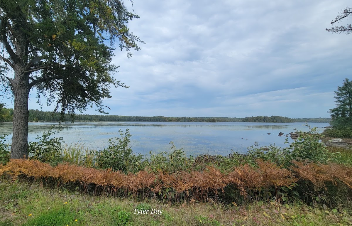 Lake Jeanette
