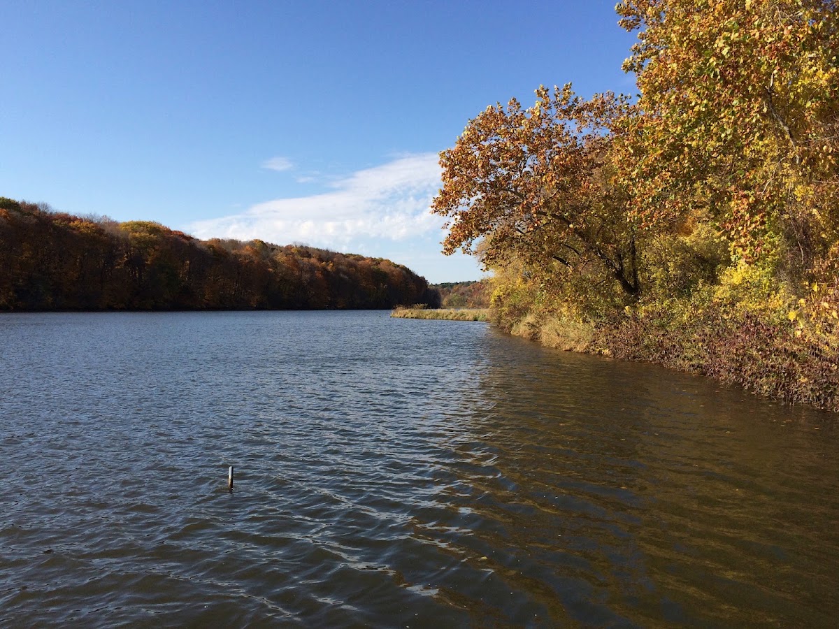 Backbone Lake