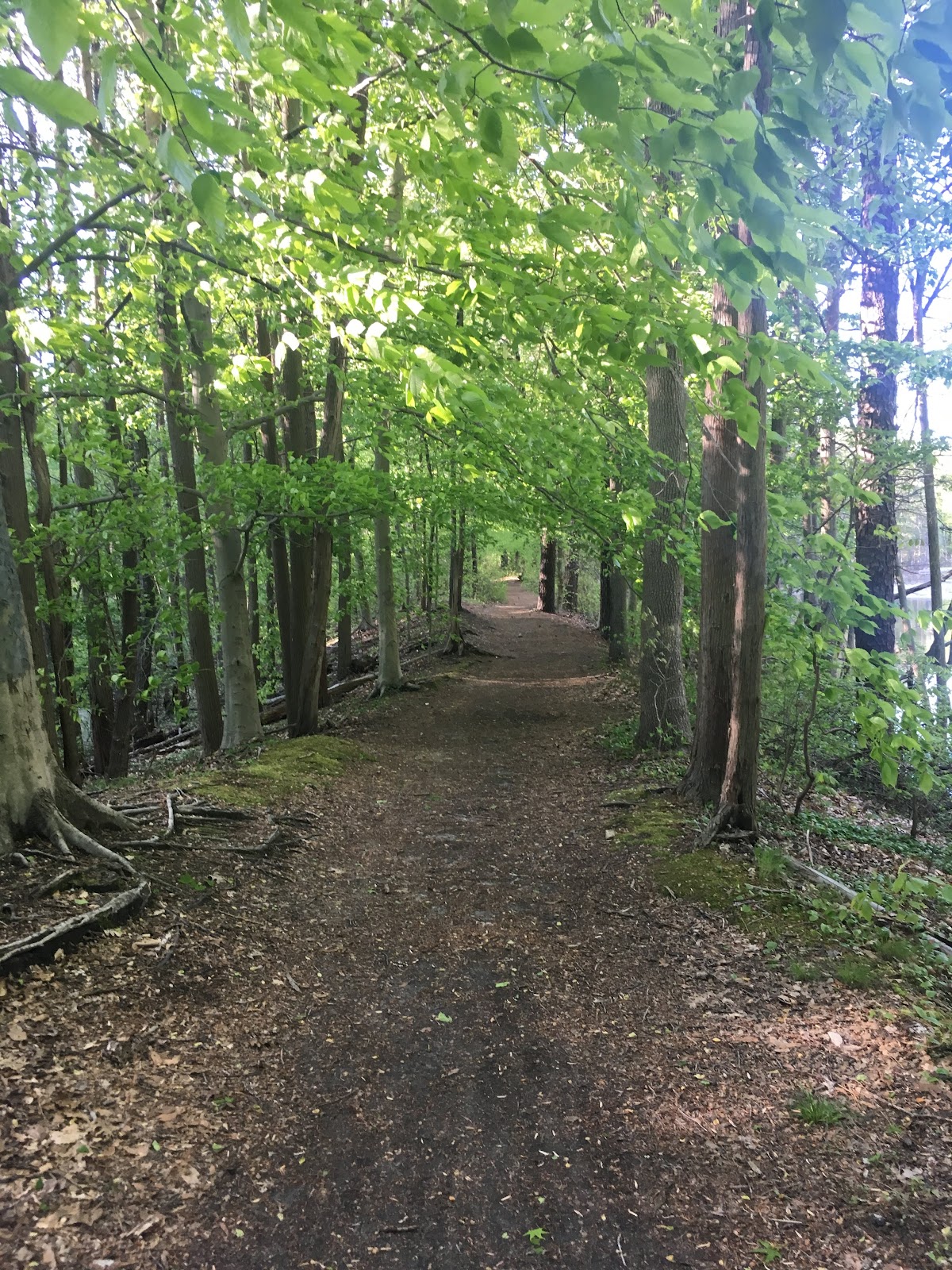 Ceres Park & Nature Preserve