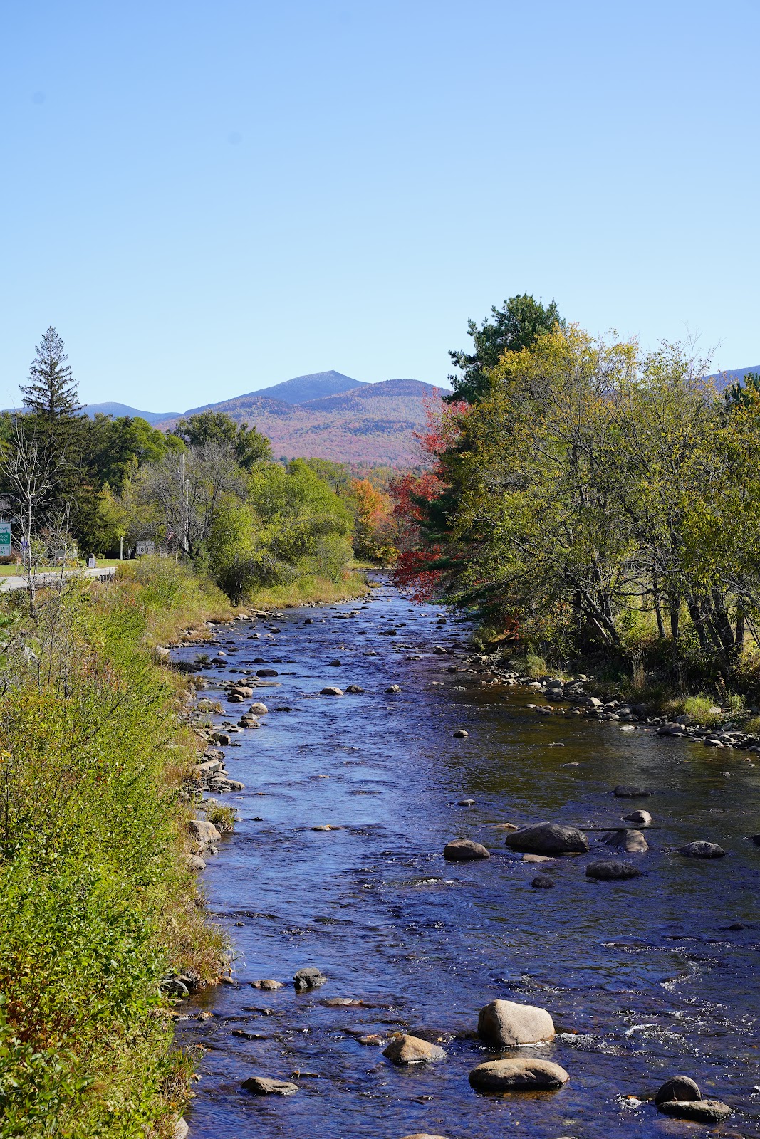 Gale River