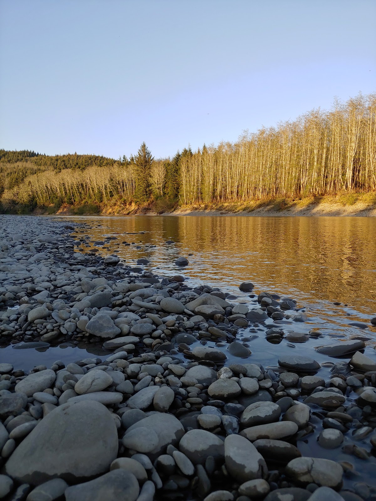 Queets River