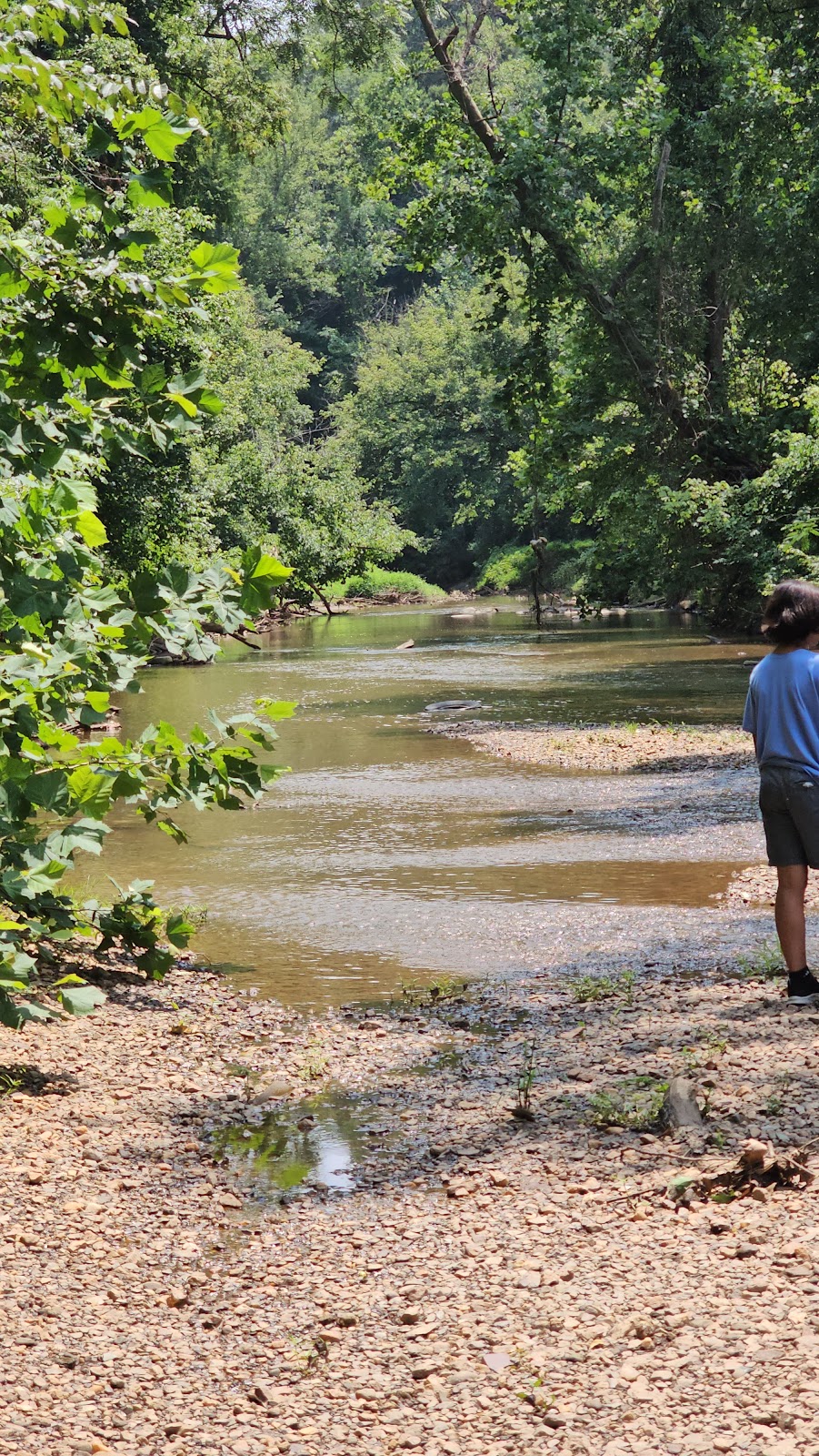 Blackwater Creek