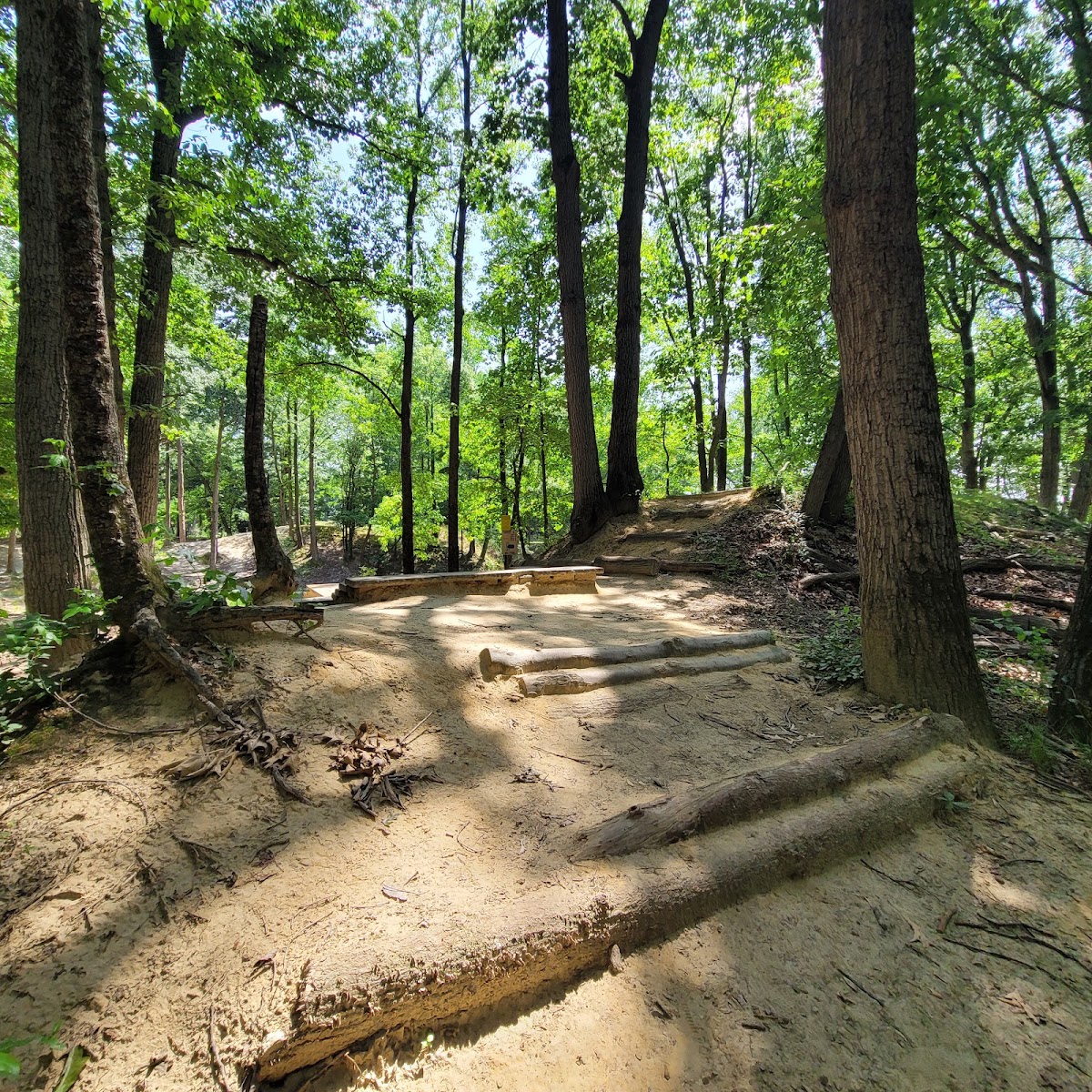 Stafford's Woods Disc Golf Course