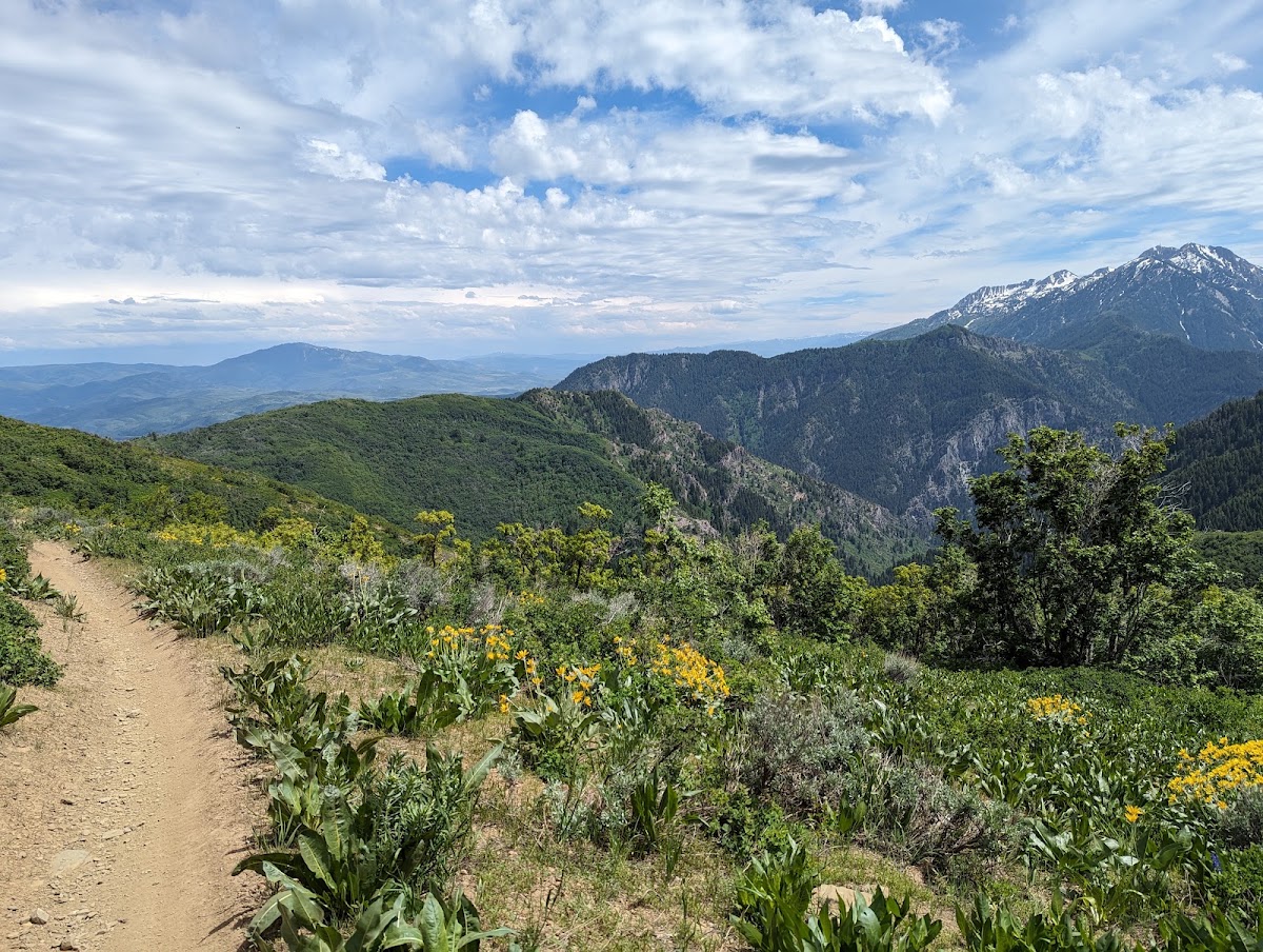 Skyline South Trail